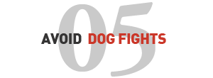 Avoid Dog Fights